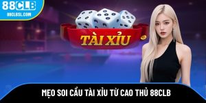 avt-meo-soi-cau-tai-xiu