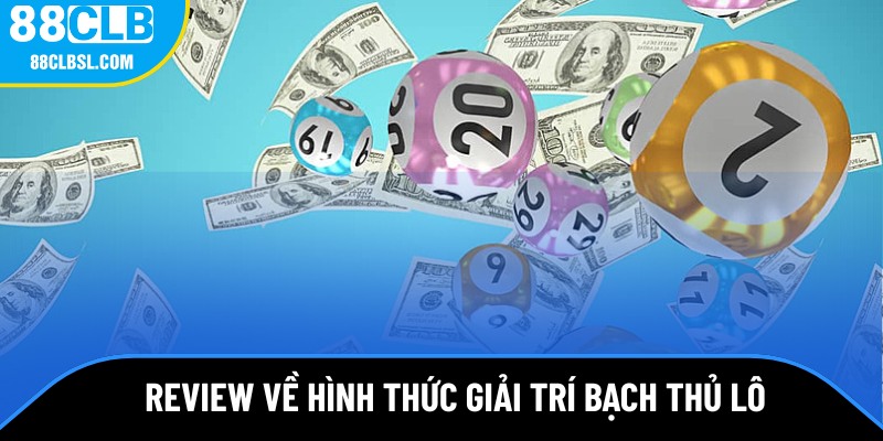 Bạch thủ lô là gì? Bạch thủ lô là gì?